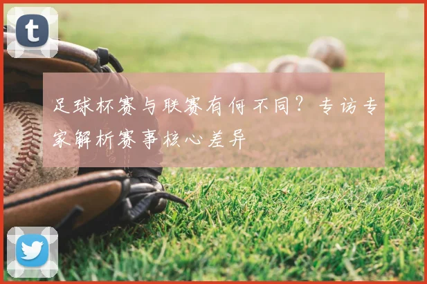足球杯赛与联赛有何不同？专访专家解析赛事核心差异